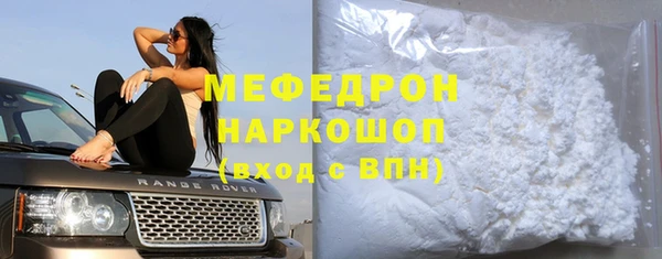 МДПВ Бородино