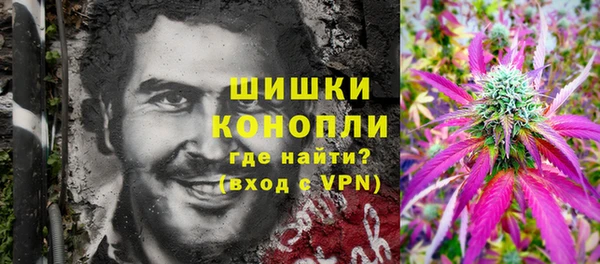 дурь Богданович