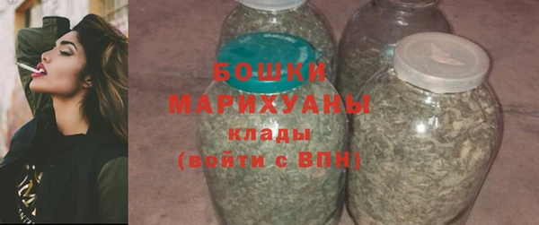 spice Богородицк