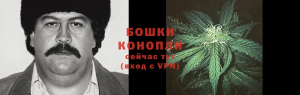дурь Богданович