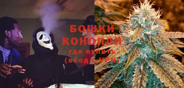 spice Богородицк