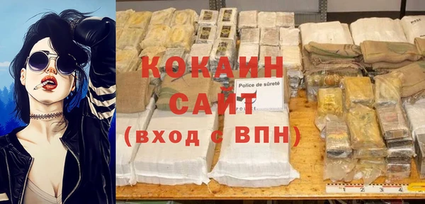 spice Богородицк