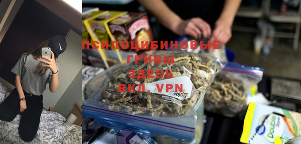 дурь Богданович