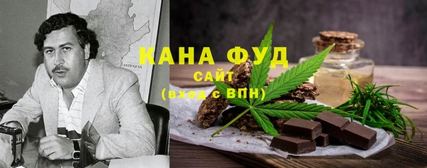 spice Богородицк