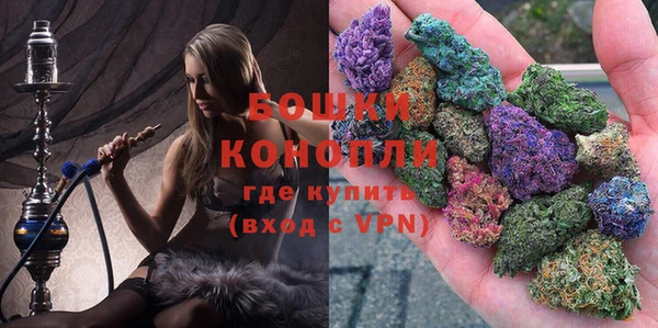 spice Богородицк