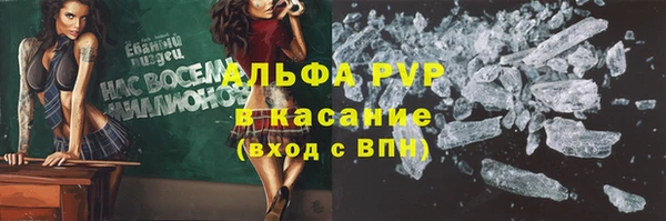 МДПВ Бородино