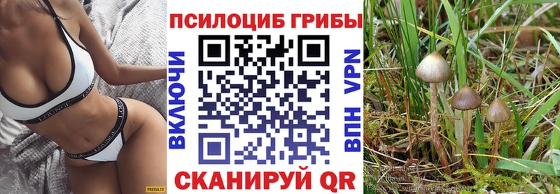 Псилоцибиновые грибы мицелий дарнет шоп OMG ссылка Камышлов